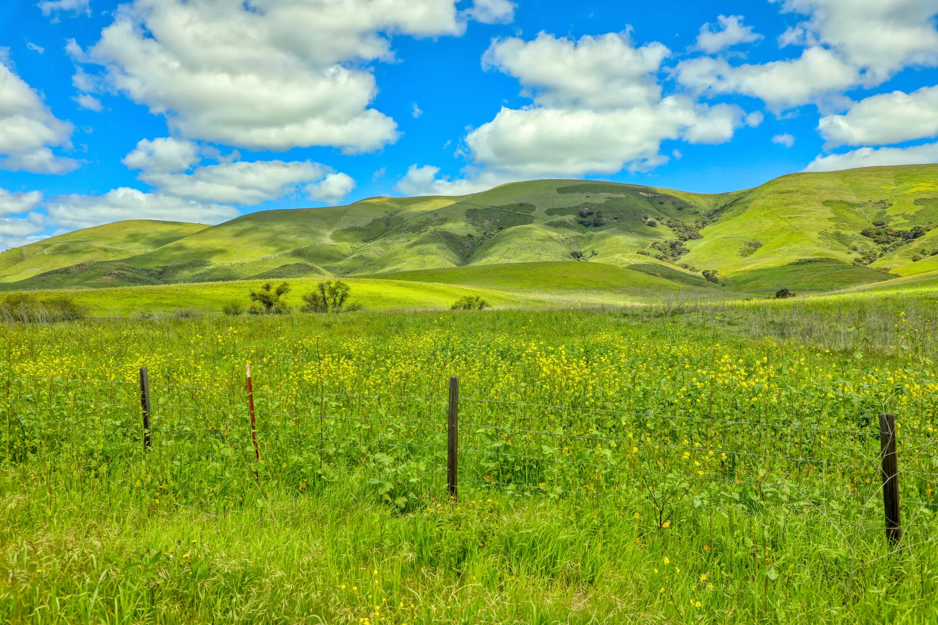 Central Coast landscape